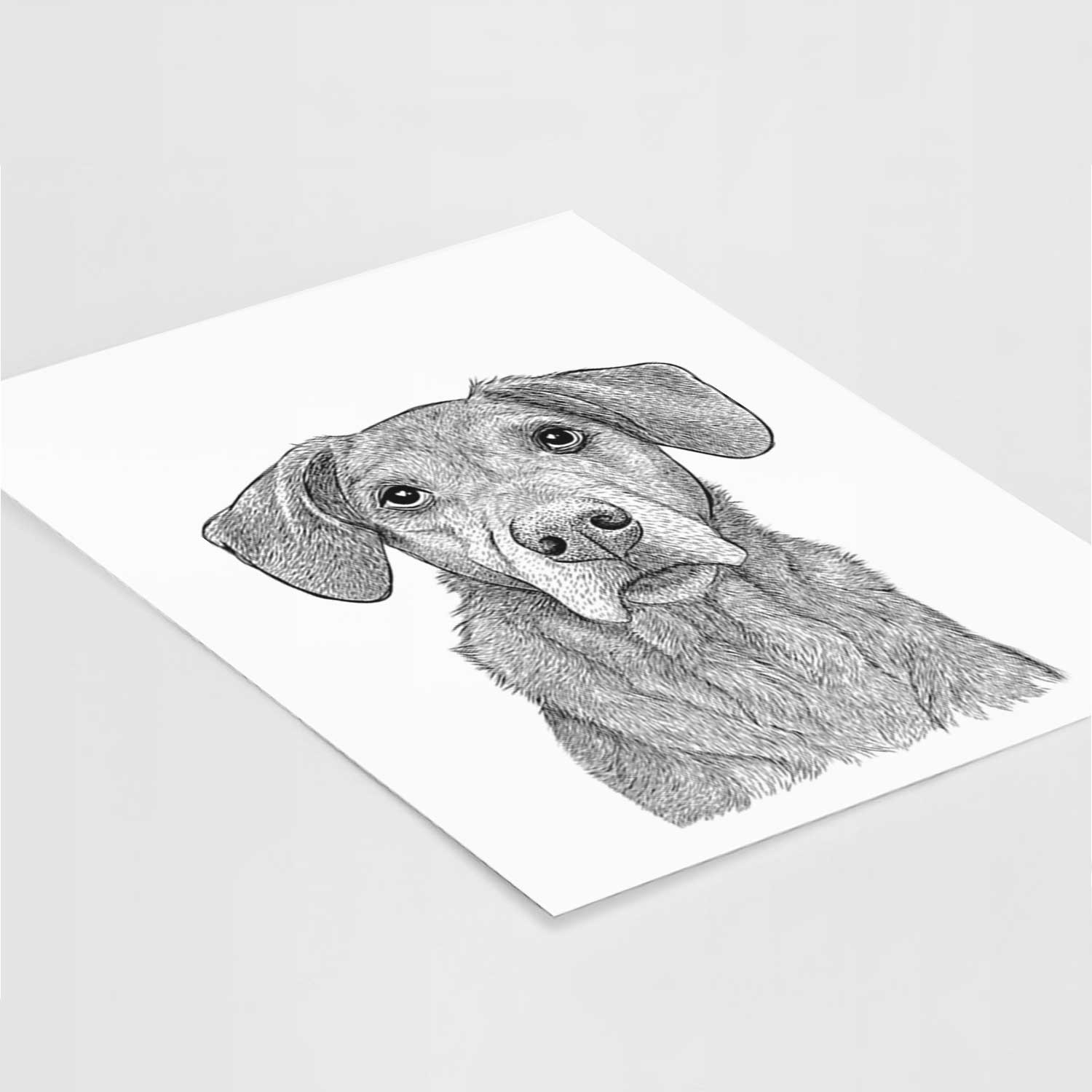 Gravy the Plott Hound Beagle Mix Art Print