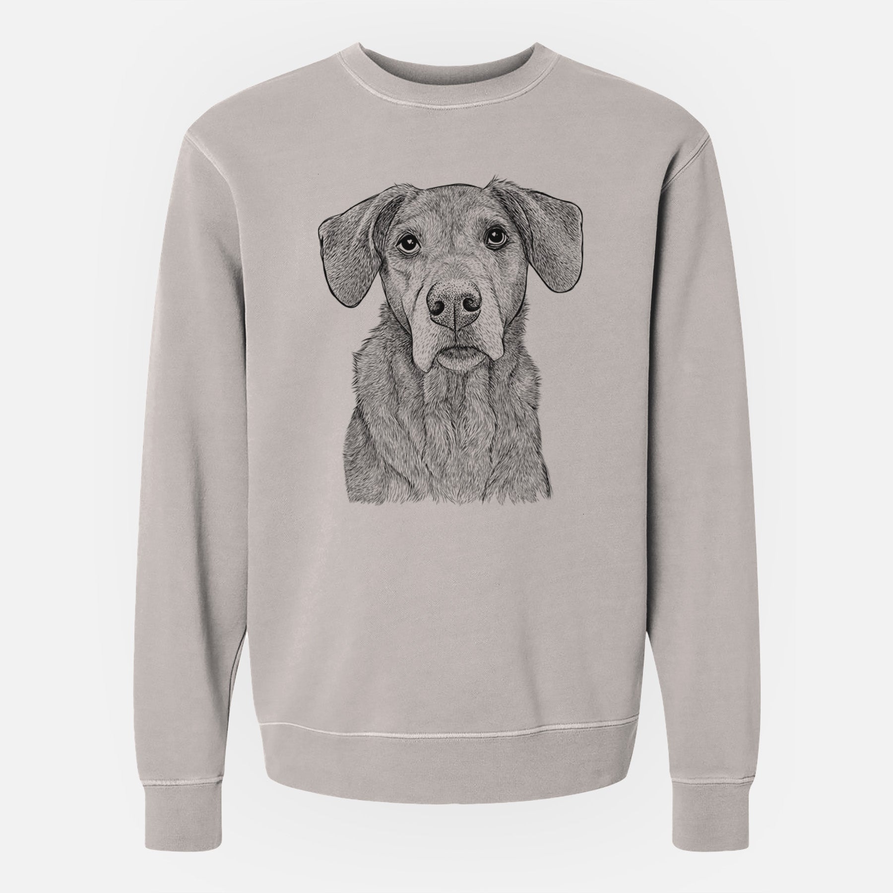 Bare Gravy the Plott Hound Beagle Mix - Unisex Pigment Dyed Crew Sweatshirt