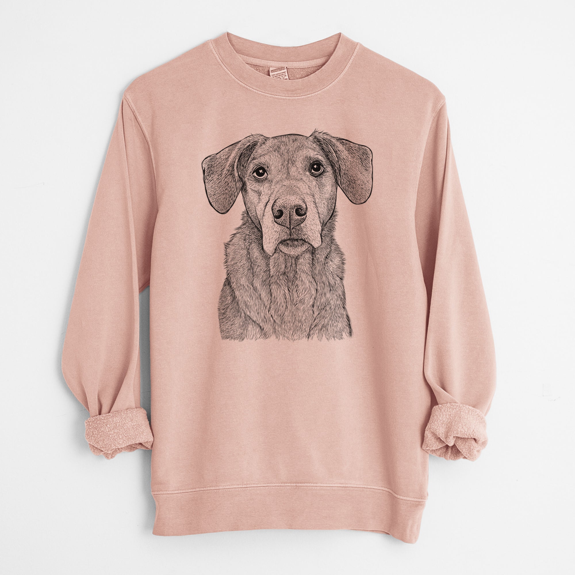 Bare Gravy the Plott Hound Beagle Mix - Unisex Pigment Dyed Crew Sweatshirt