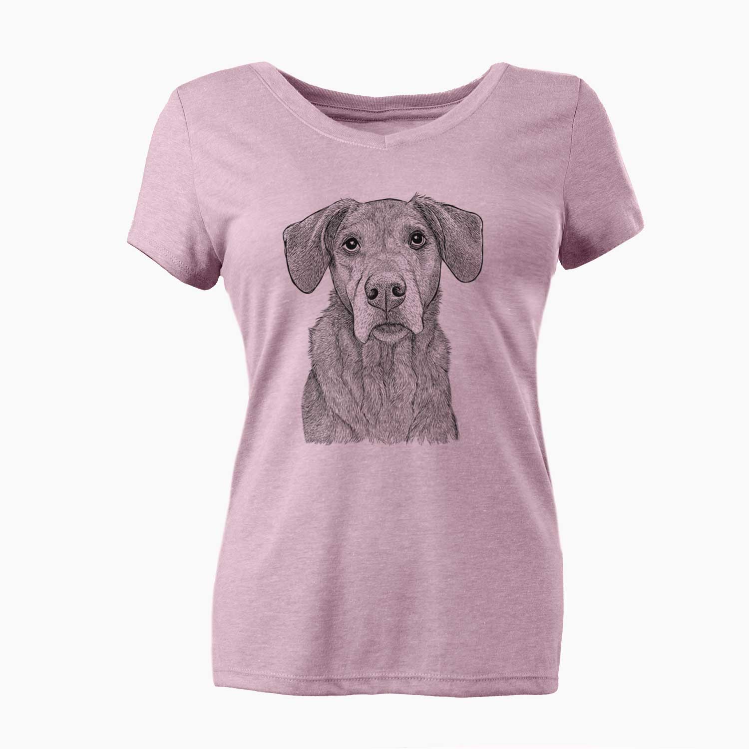 Bare Gravy the Plott Hound Beagle Mix - Women's V-neck Shirt