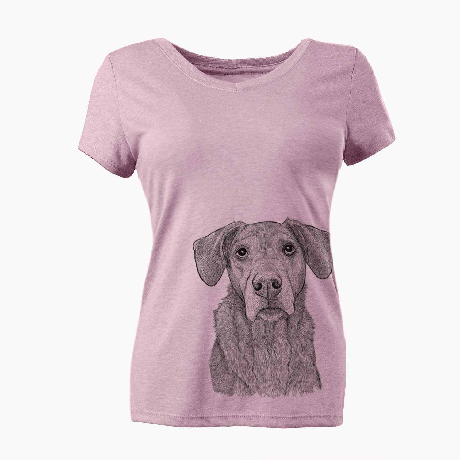 Bare Gravy the Plott Hound Beagle Mix - Women's V-neck Shirt