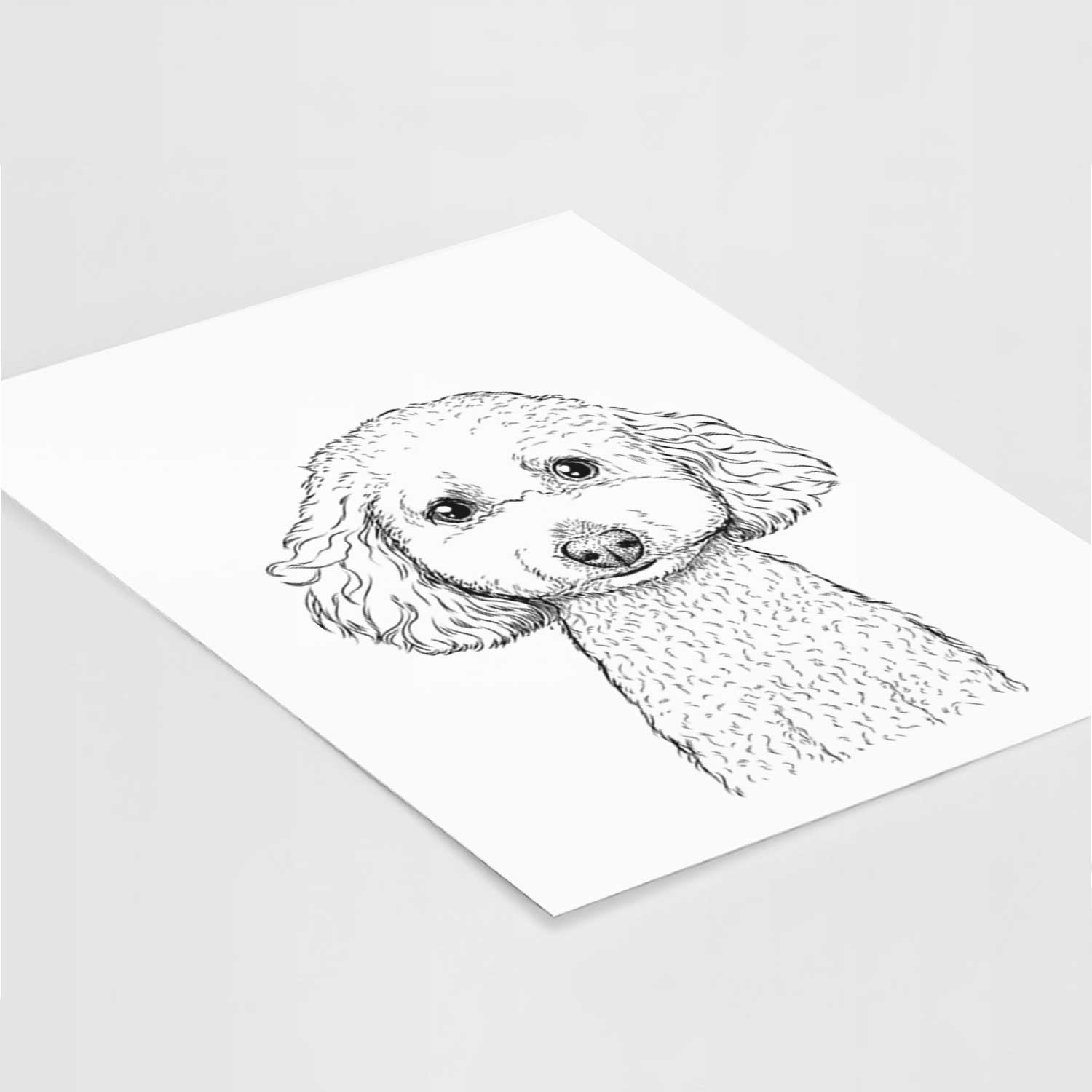 Guinness the Toy Poodle Mix Art Print