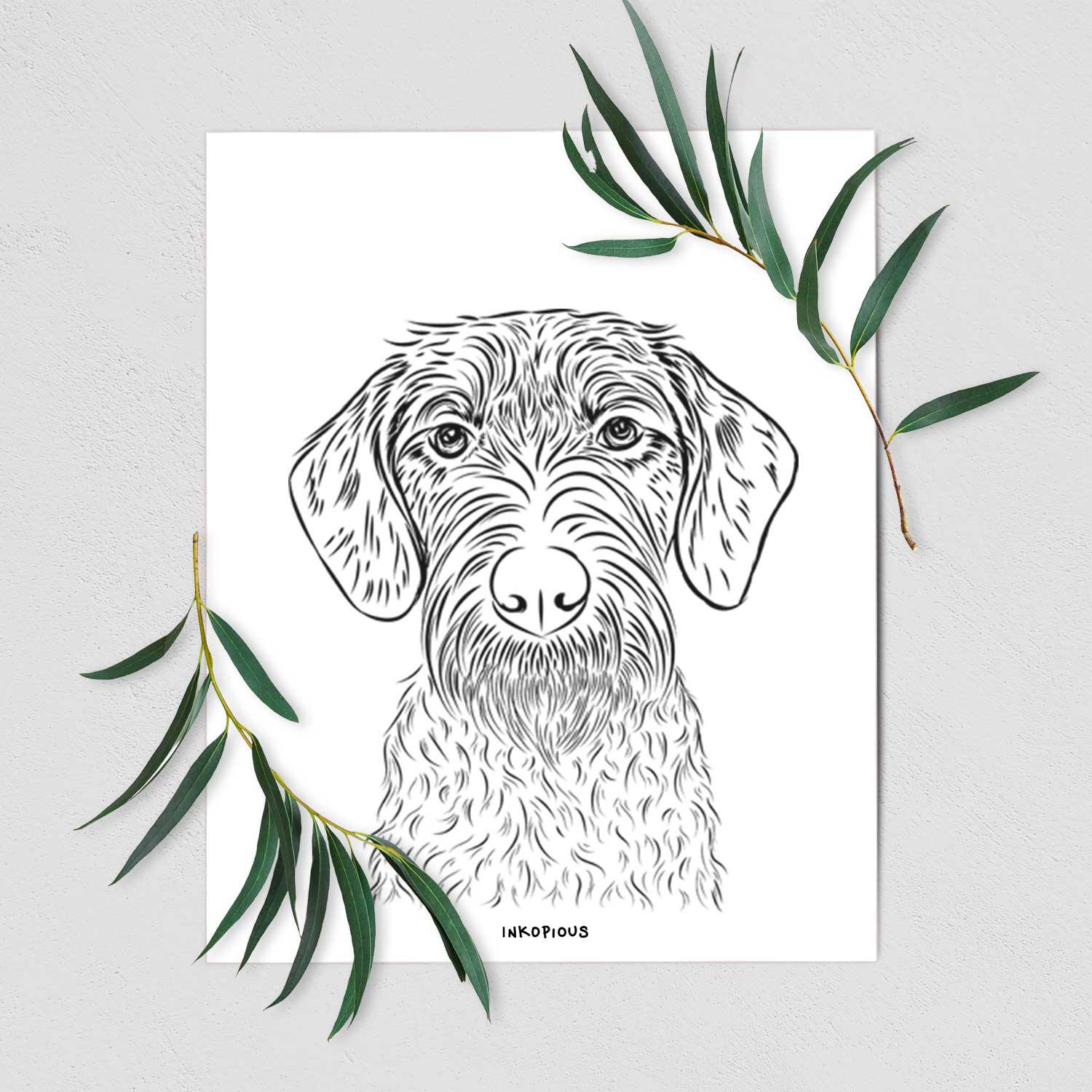 Gus the German Wirehaired Pointer Art Print