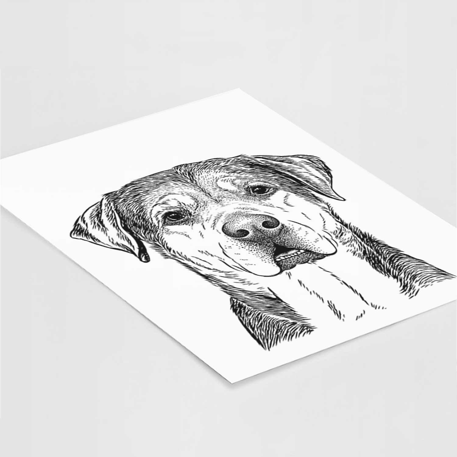 Gus the Rottweiler Mix Art Print