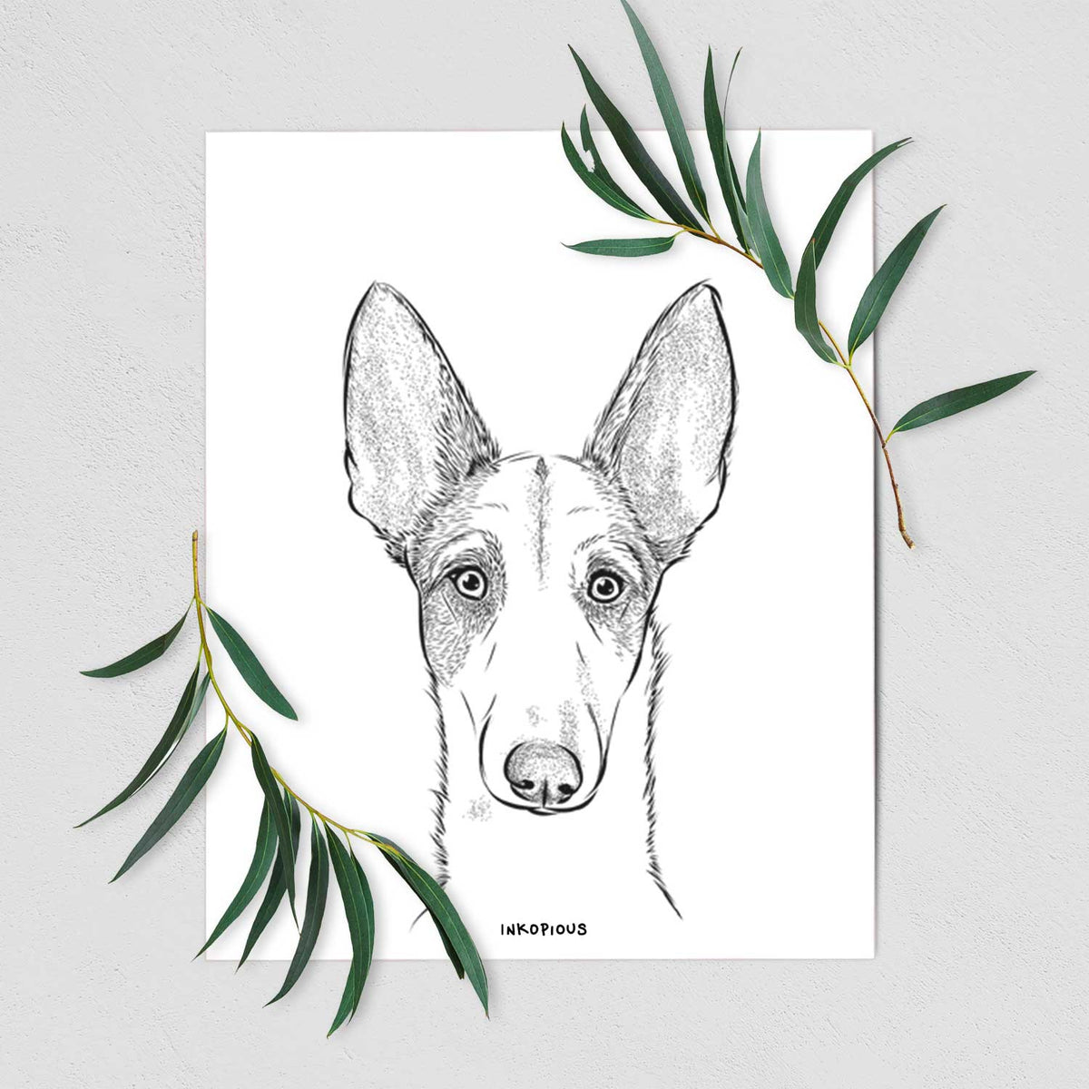 Halo the Ibizan Sight Hound Art Print