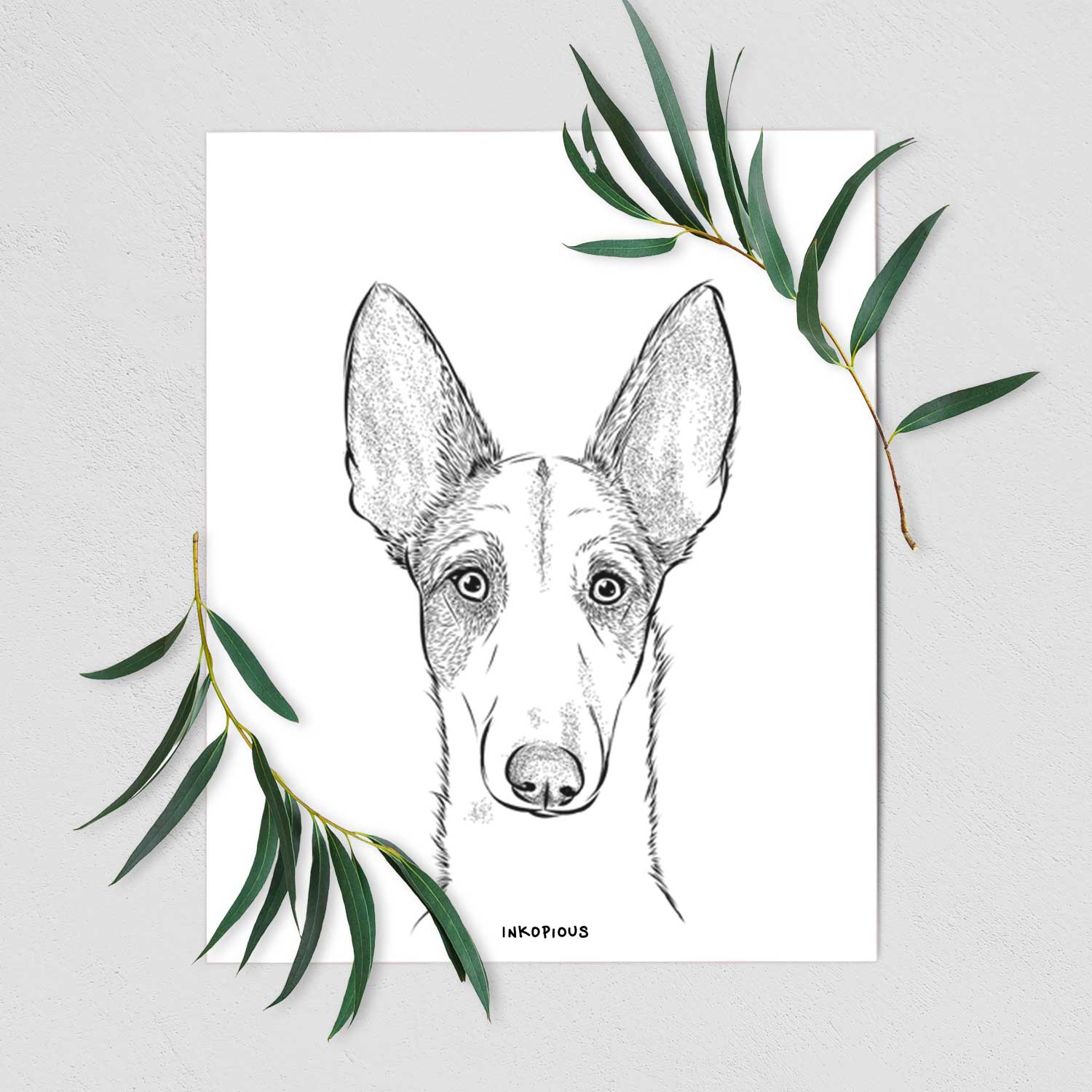 Halo the Ibizan Sight Hound Art Print