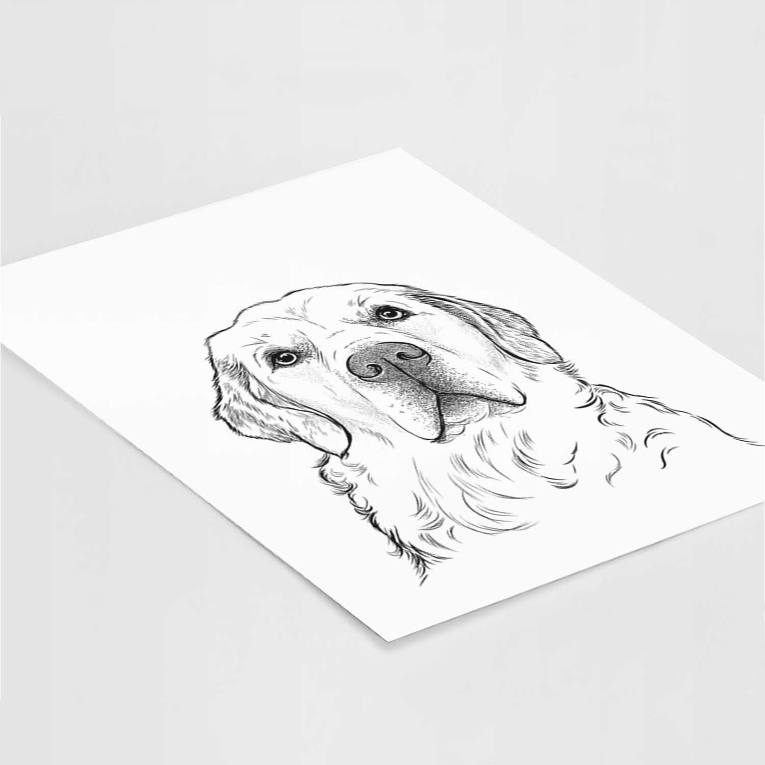 Hank the Irish Cream Golden Retriever Art Print