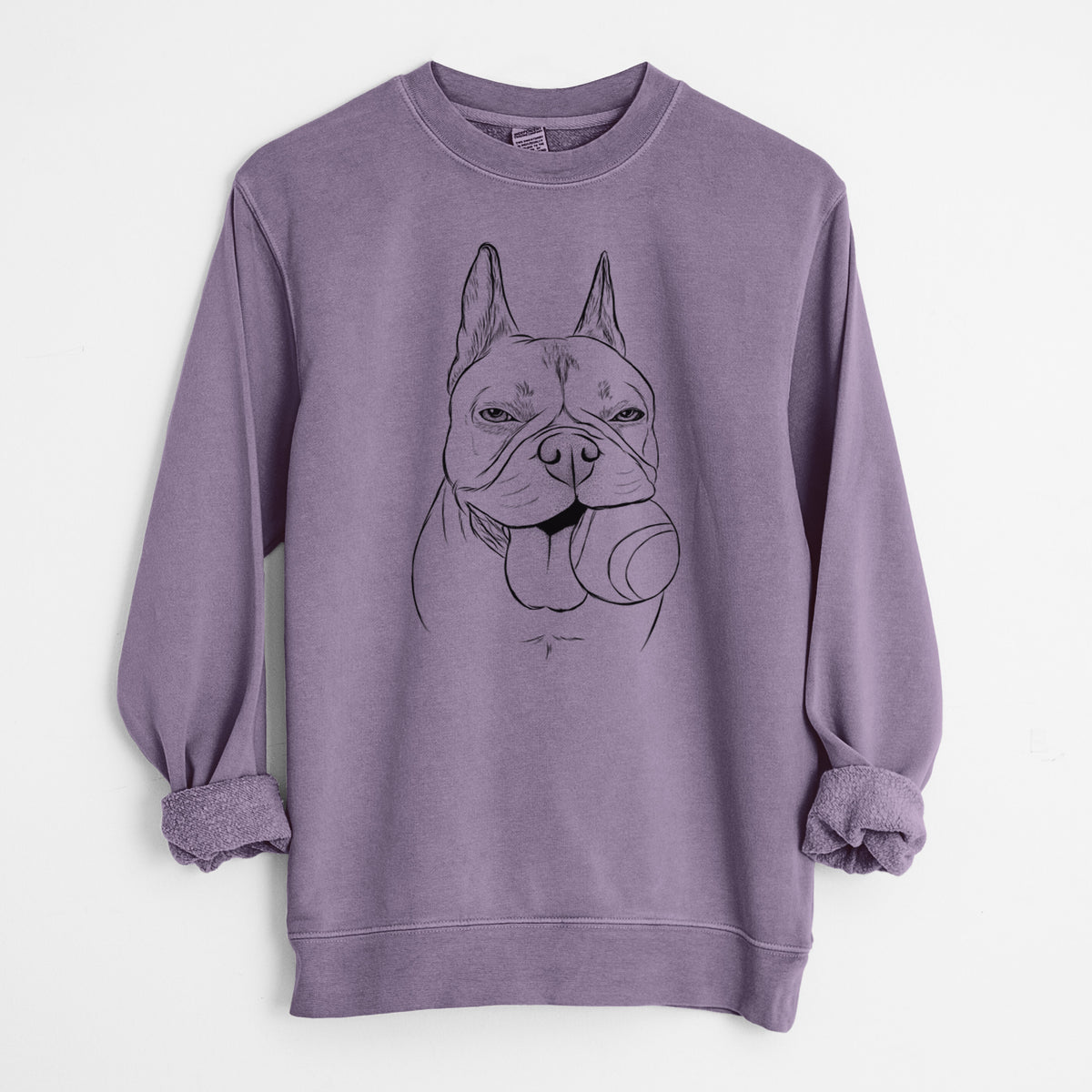 Bare Happy Franco the French Bulldog - Unisex Pigment Dyed Crew Sweatshirt