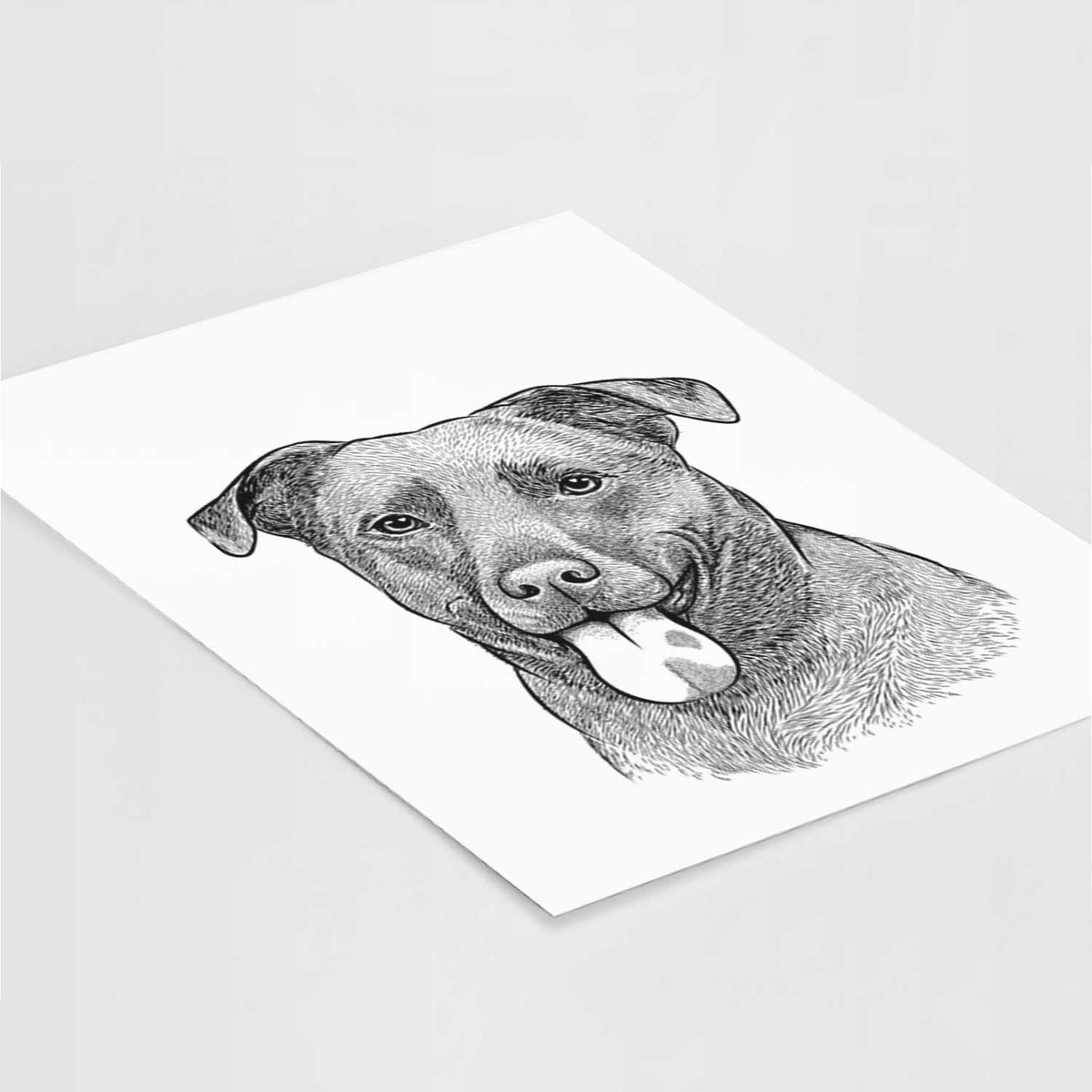 Harbor the Mixed Breed Art Print