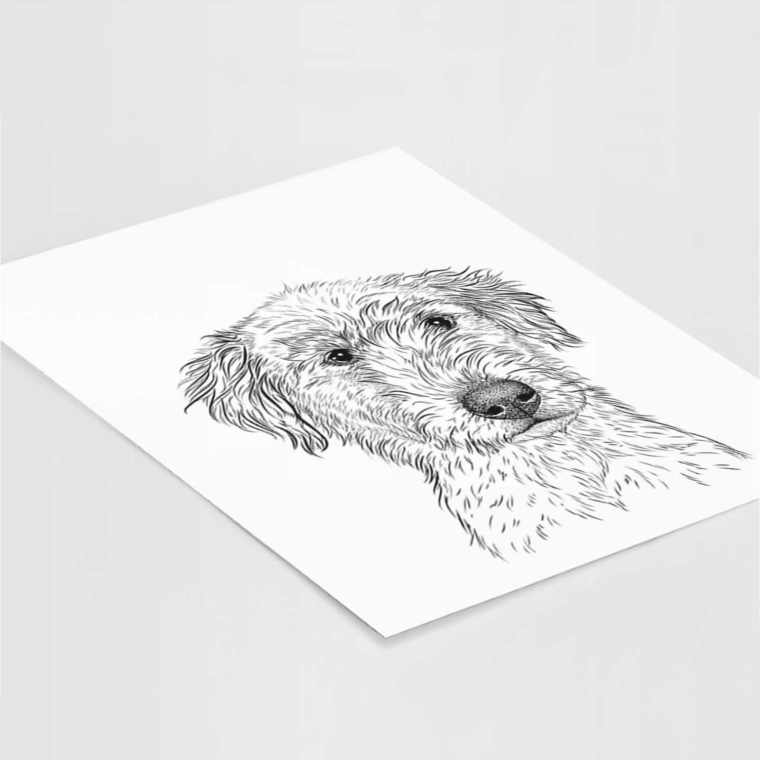 Harry the Mixed Breed Puppy Art Print