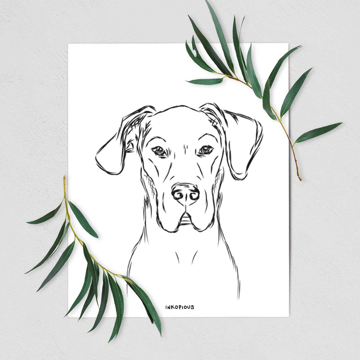 Harvey the Great Dane Art Print