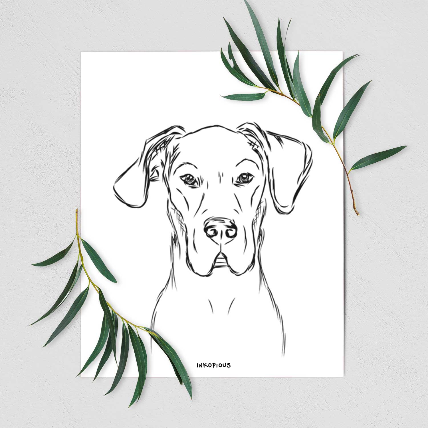 Harvey the Great Dane Art Print