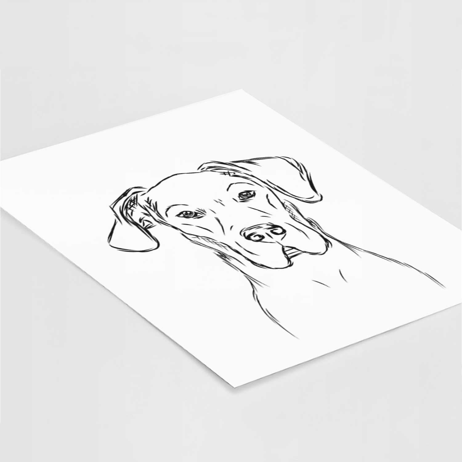 Harvey the Great Dane Art Print