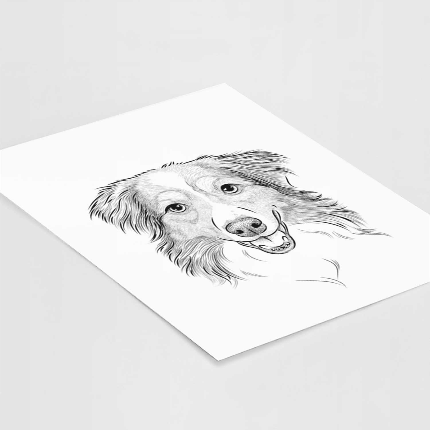 Hattie the Australian Shepherd Art Print