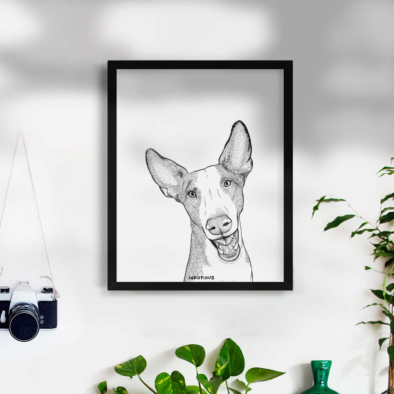 Havok the Ibizan Hound Art Print