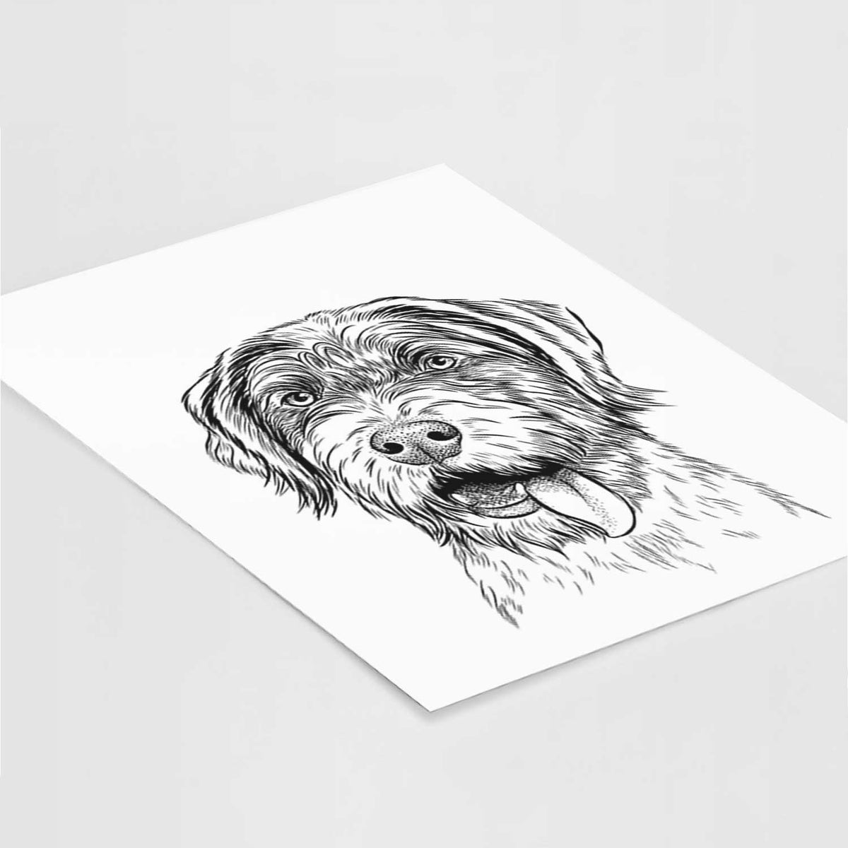 Hazel the German Wirehaired Pointer Mix Art Print
