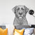 Heath the Black Lab - Wall Decal