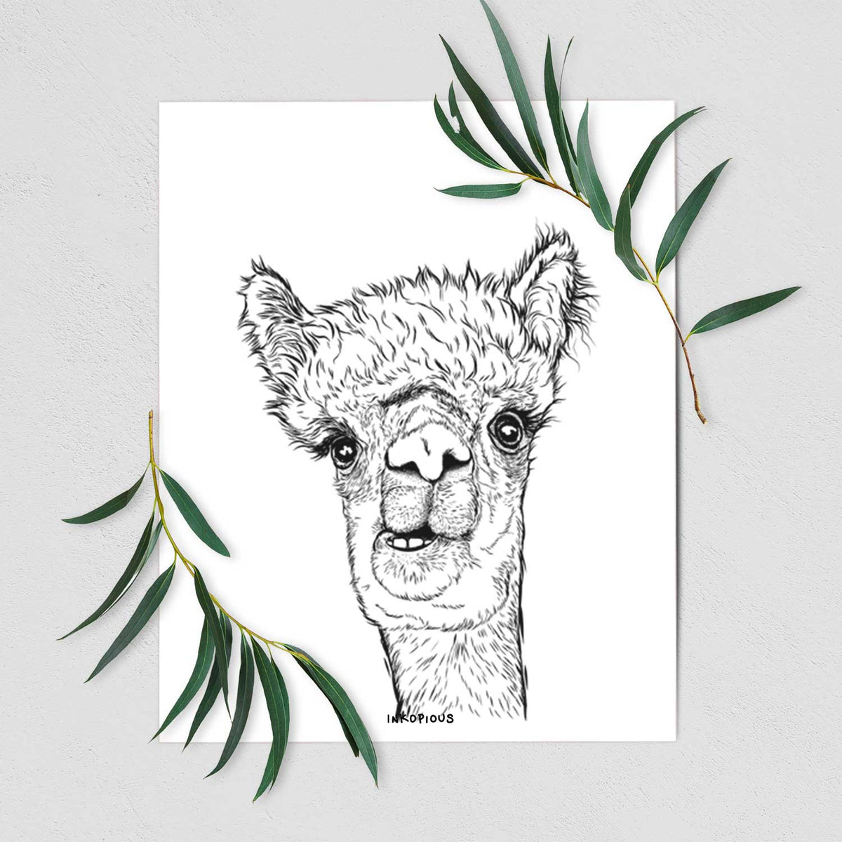 Henry the Alpaca Art Print