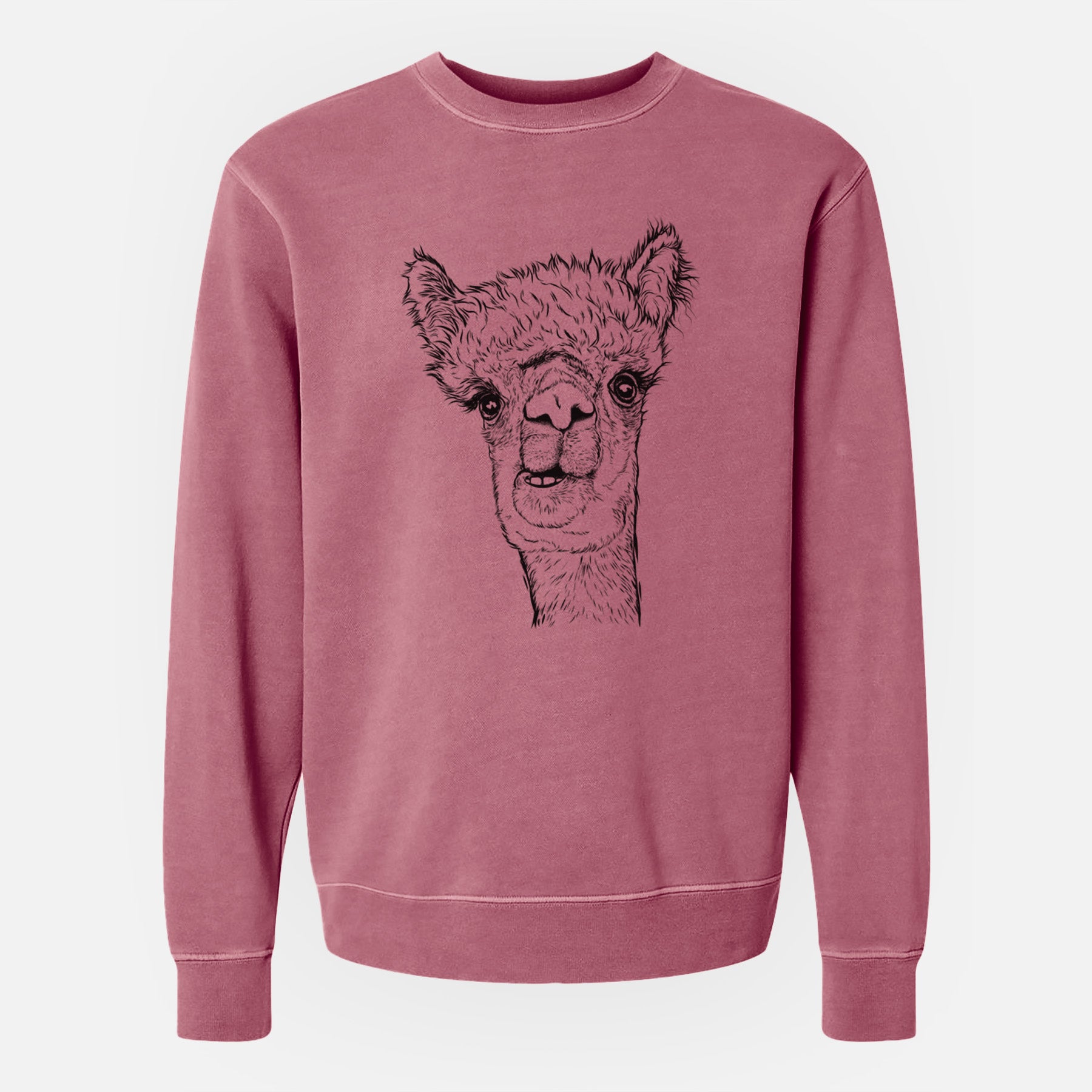 Bare Henry the Alpaca - Unisex Pigment Dyed Crew Sweatshirt