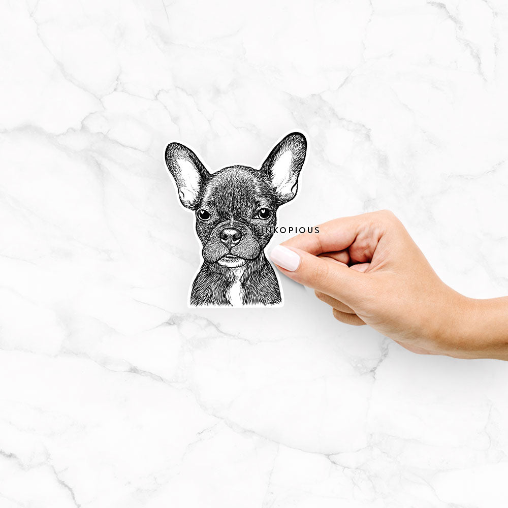 Henry the French Bulldog - Decal Sticker