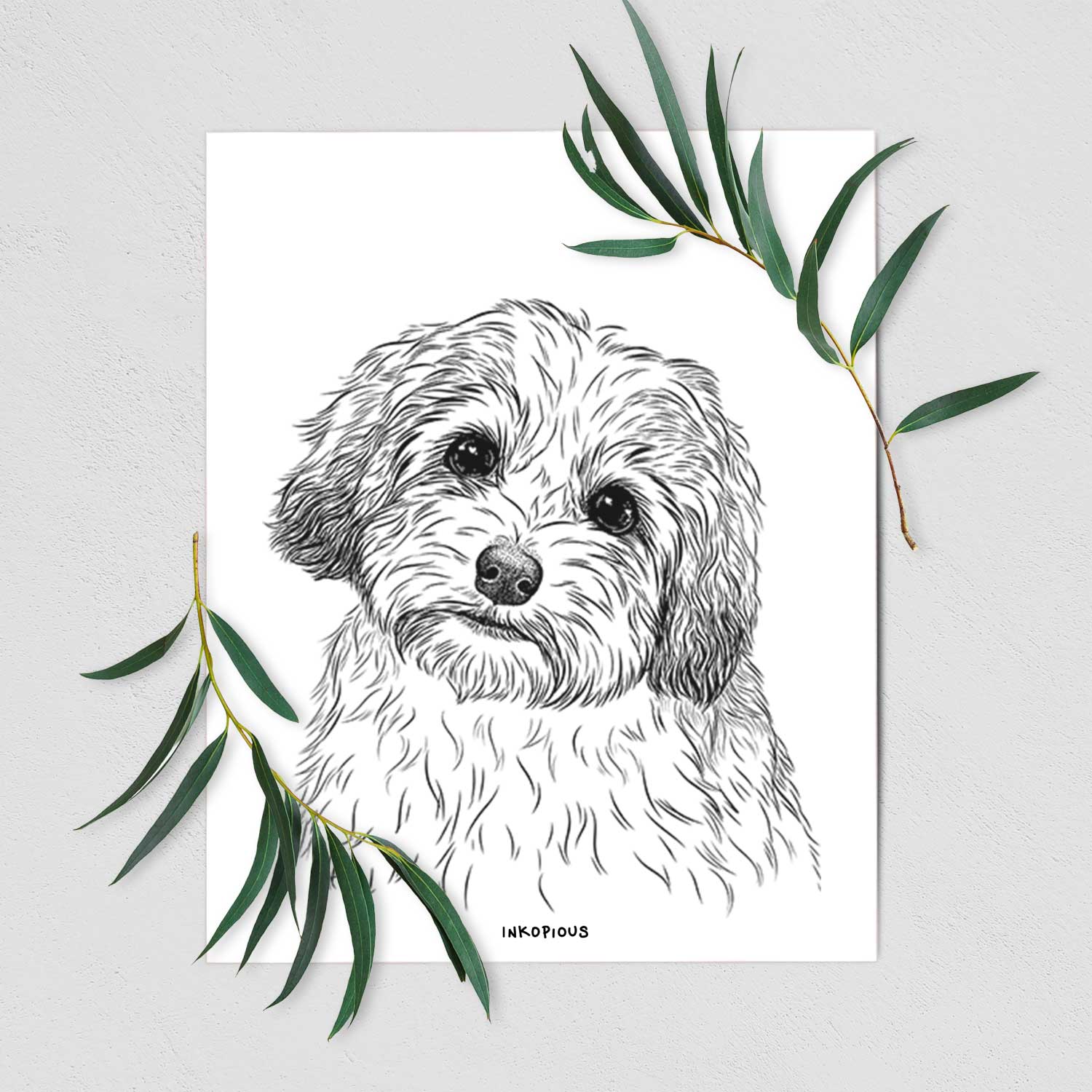 Henry the Havanese Art Print