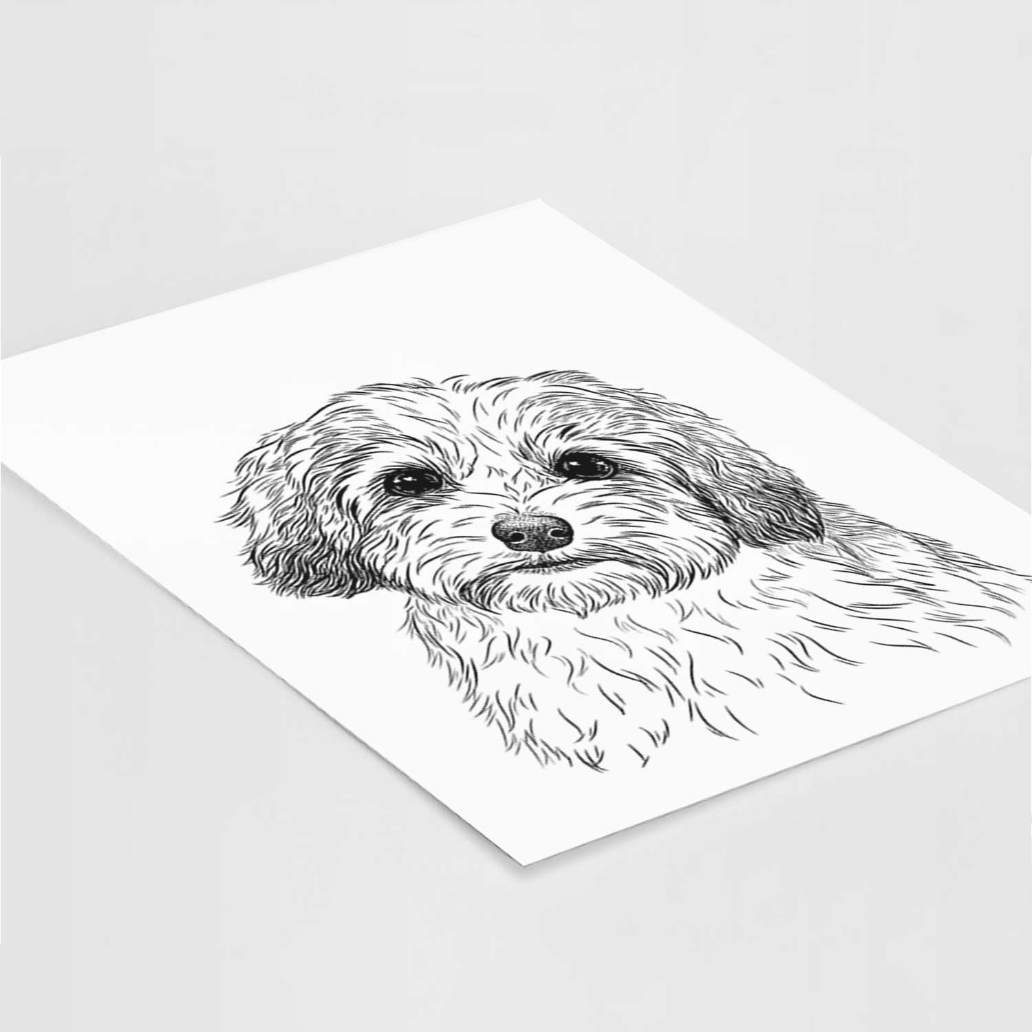 Henry the Havanese Art Print