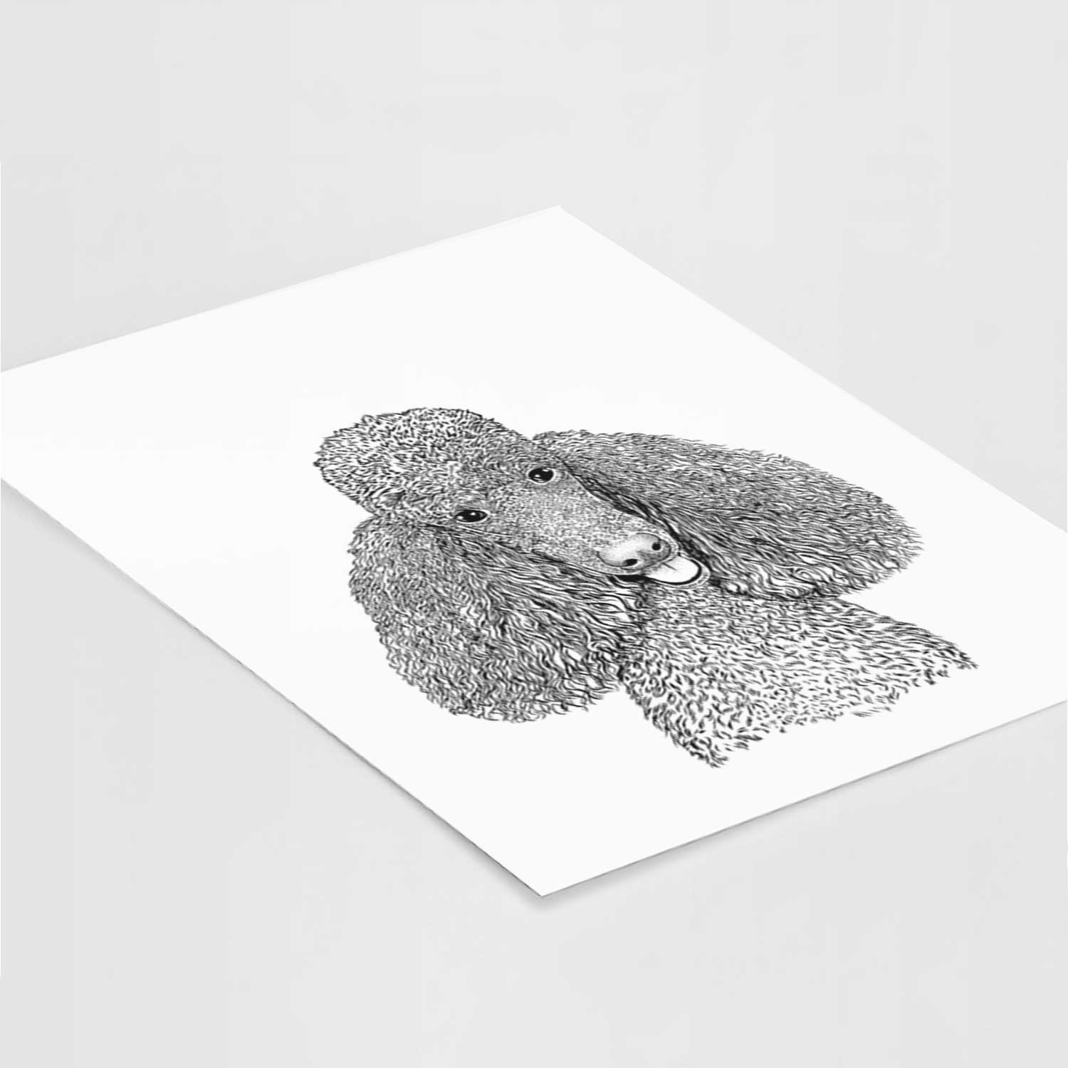 Henry the Standard Poodle Art Print