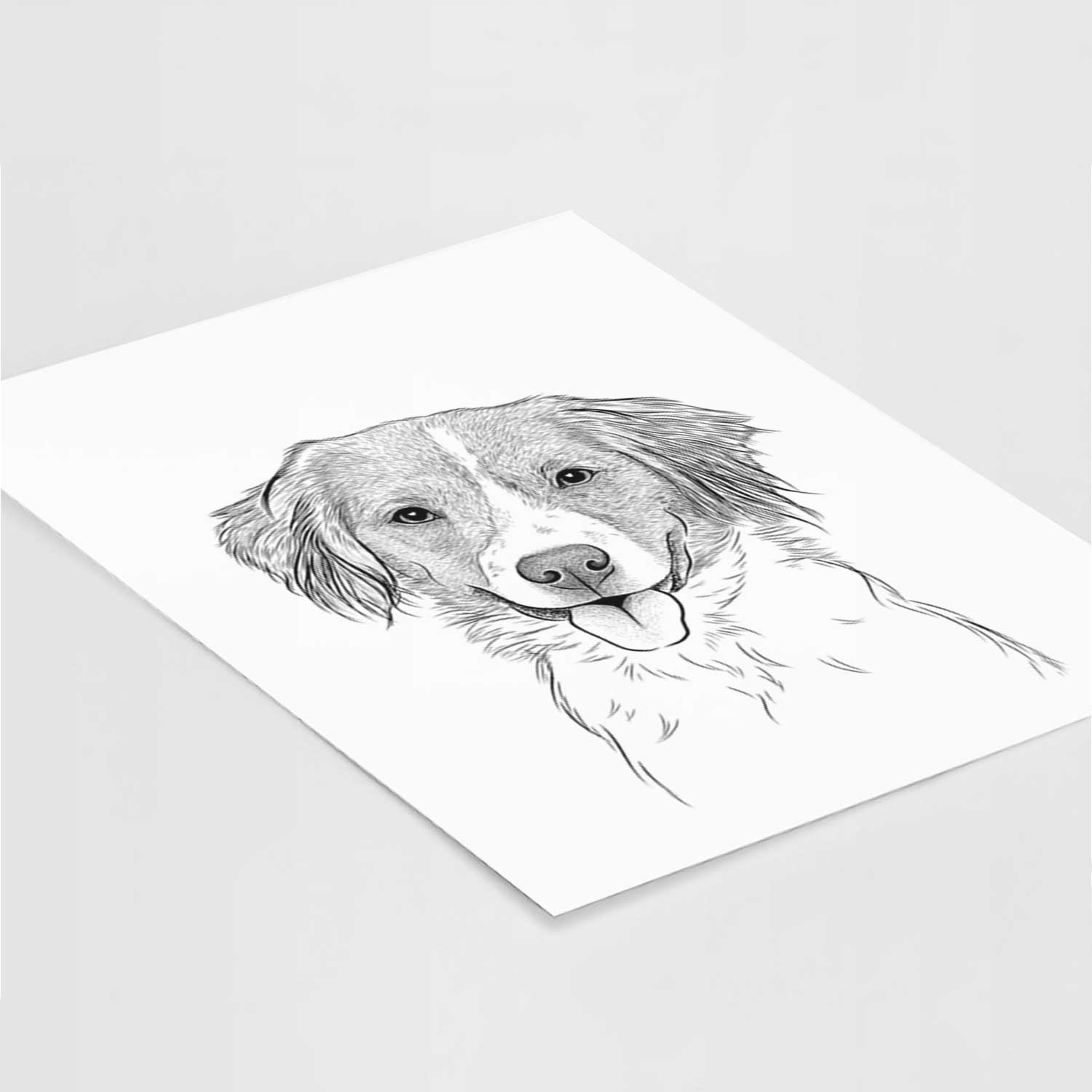 Hercules the Nederlandse Kooikerhondje Art Print