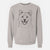 Bare Hiro the Shiba Inu - Unisex Pigment Dyed Crew Sweatshirt