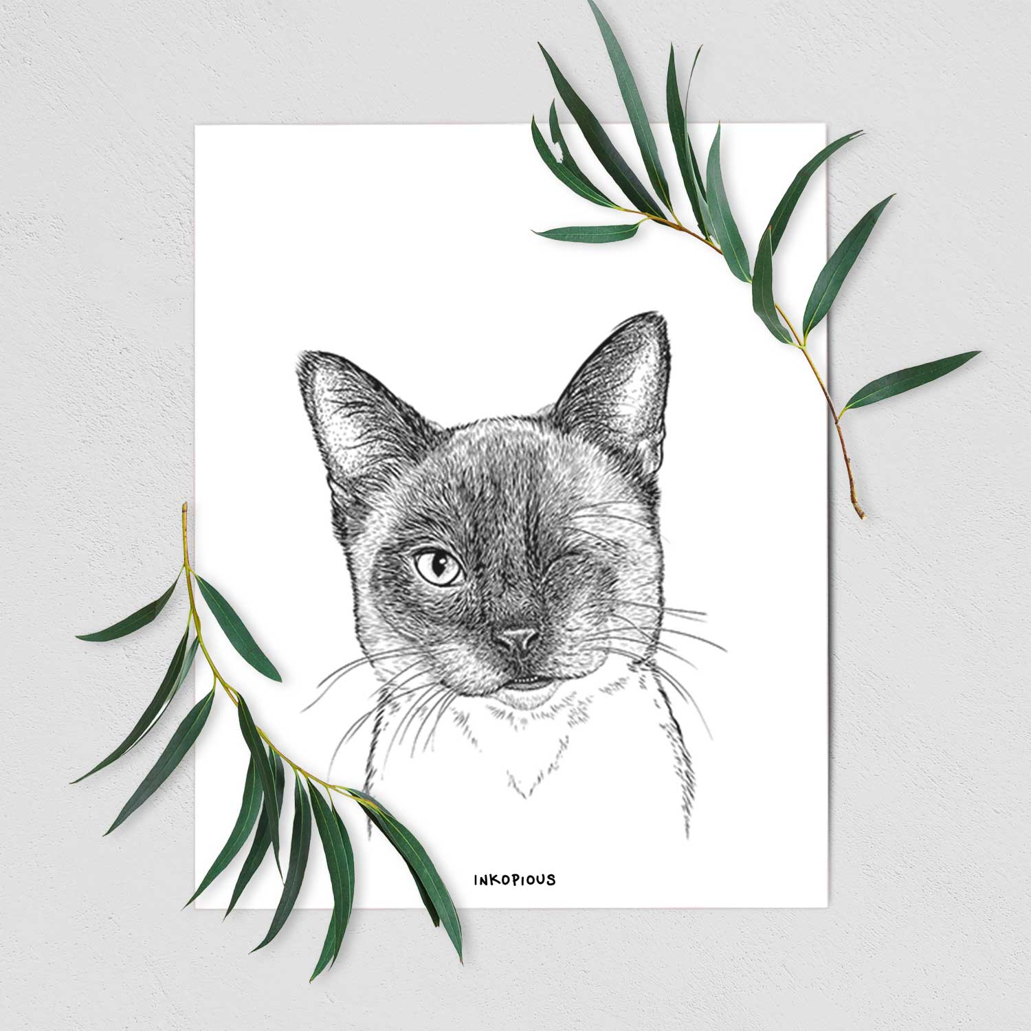 Hoggle the Siamese Cat Art Print