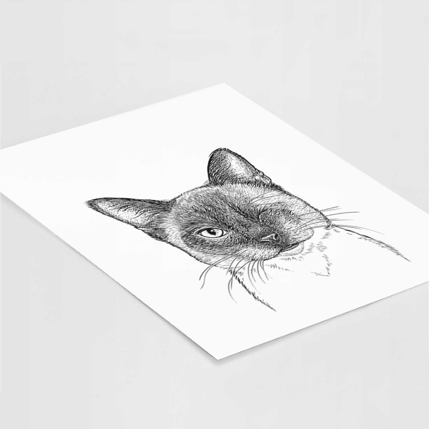 Hoggle the Siamese Cat Art Print