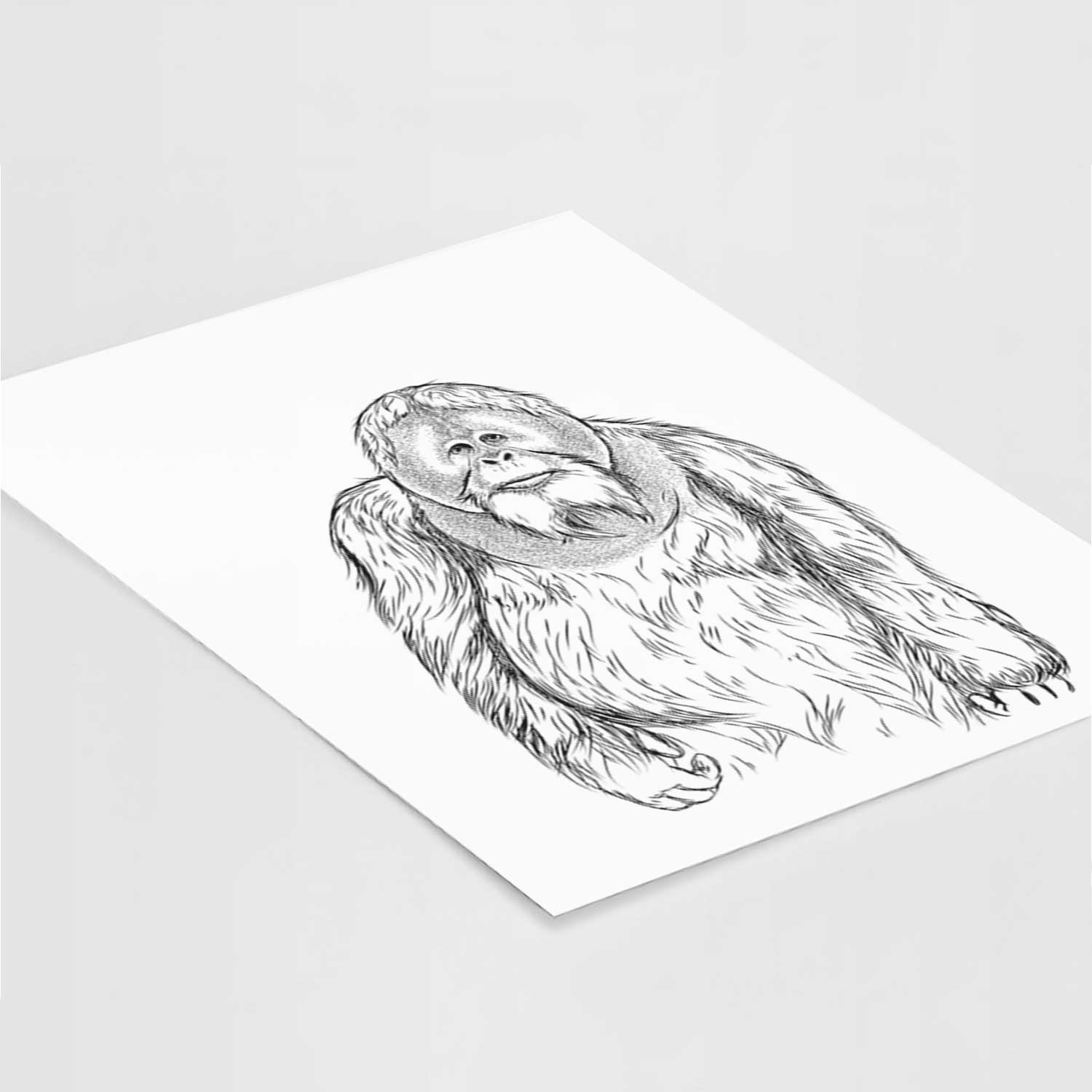 Horace the Male Orangutan Art Print