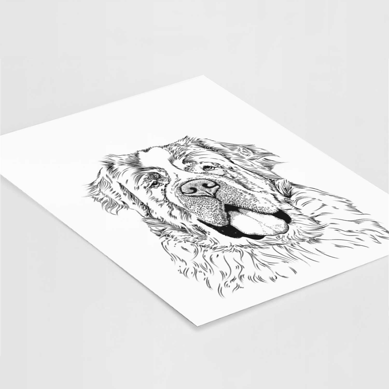 Hoss the Saint Bernard Art Print