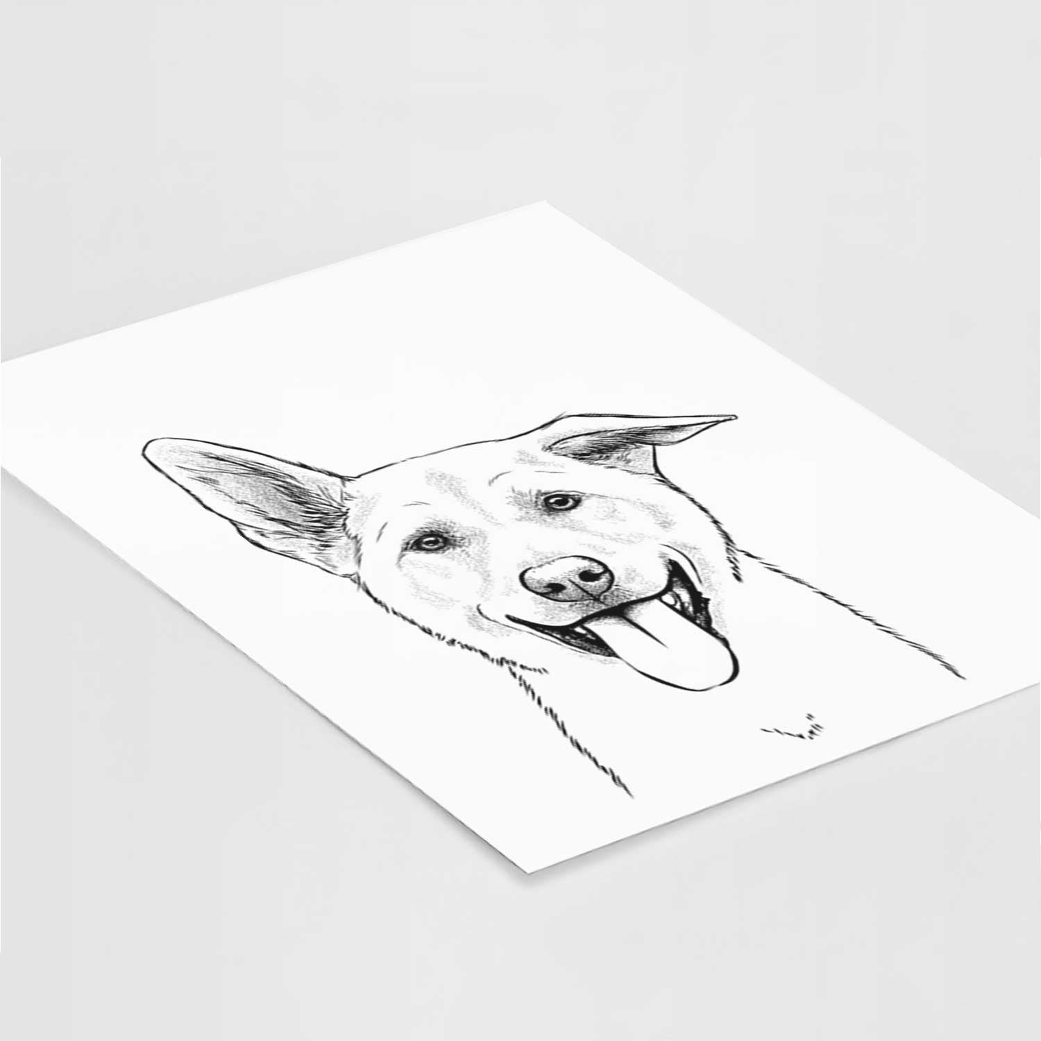 Hoya the Korean Jindo Art Print