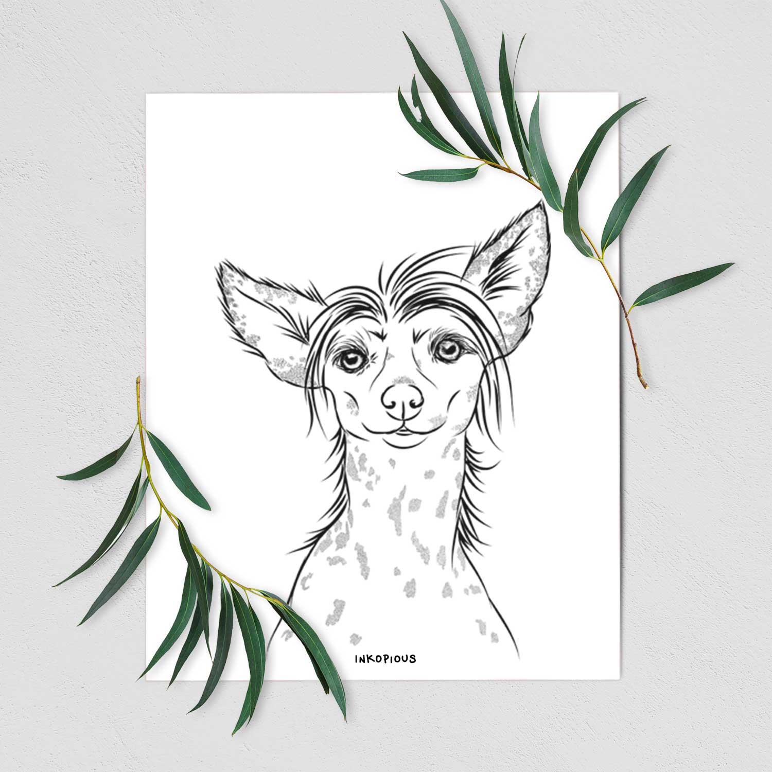 Hudson the Chinese Crested Art Print