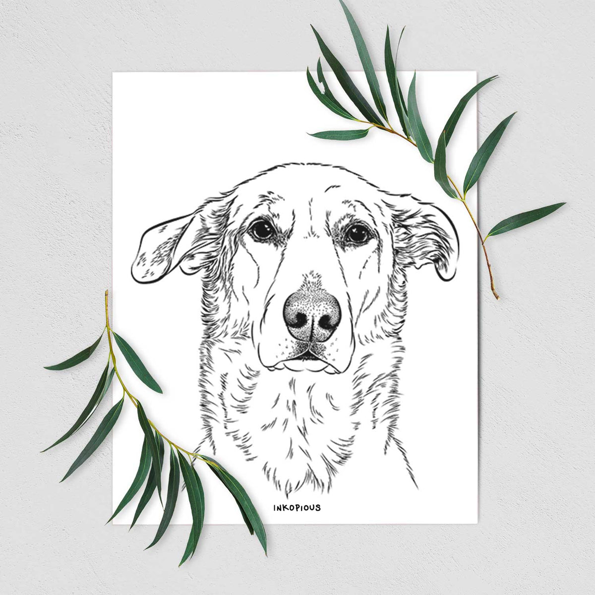 Hurricane the Chinook Art Print