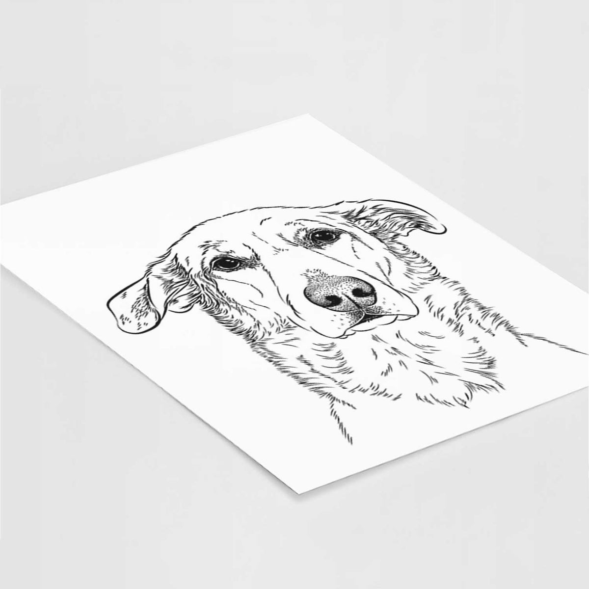 Hurricane the Chinook Art Print