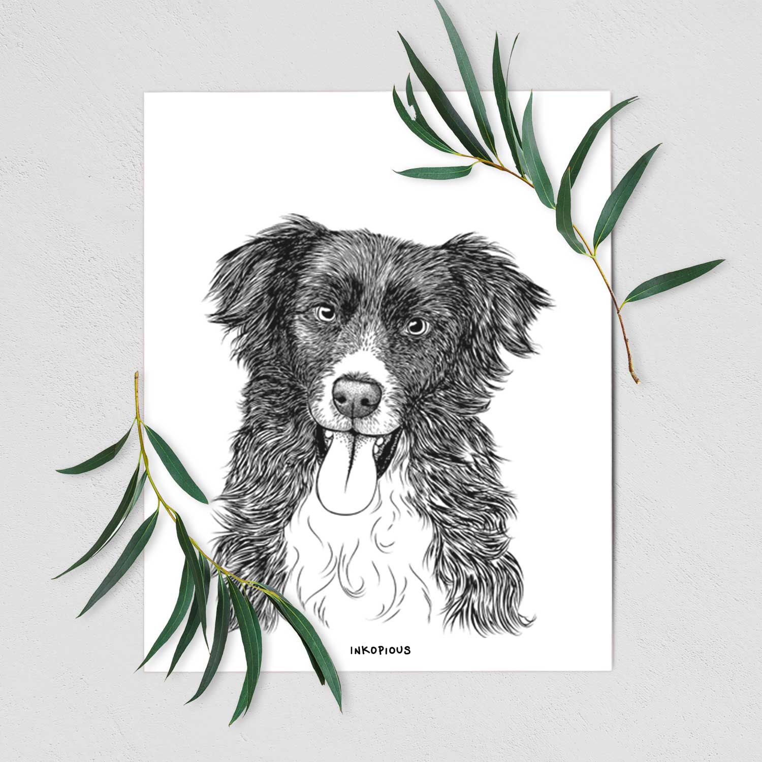 Indi the Border Collie Art Print