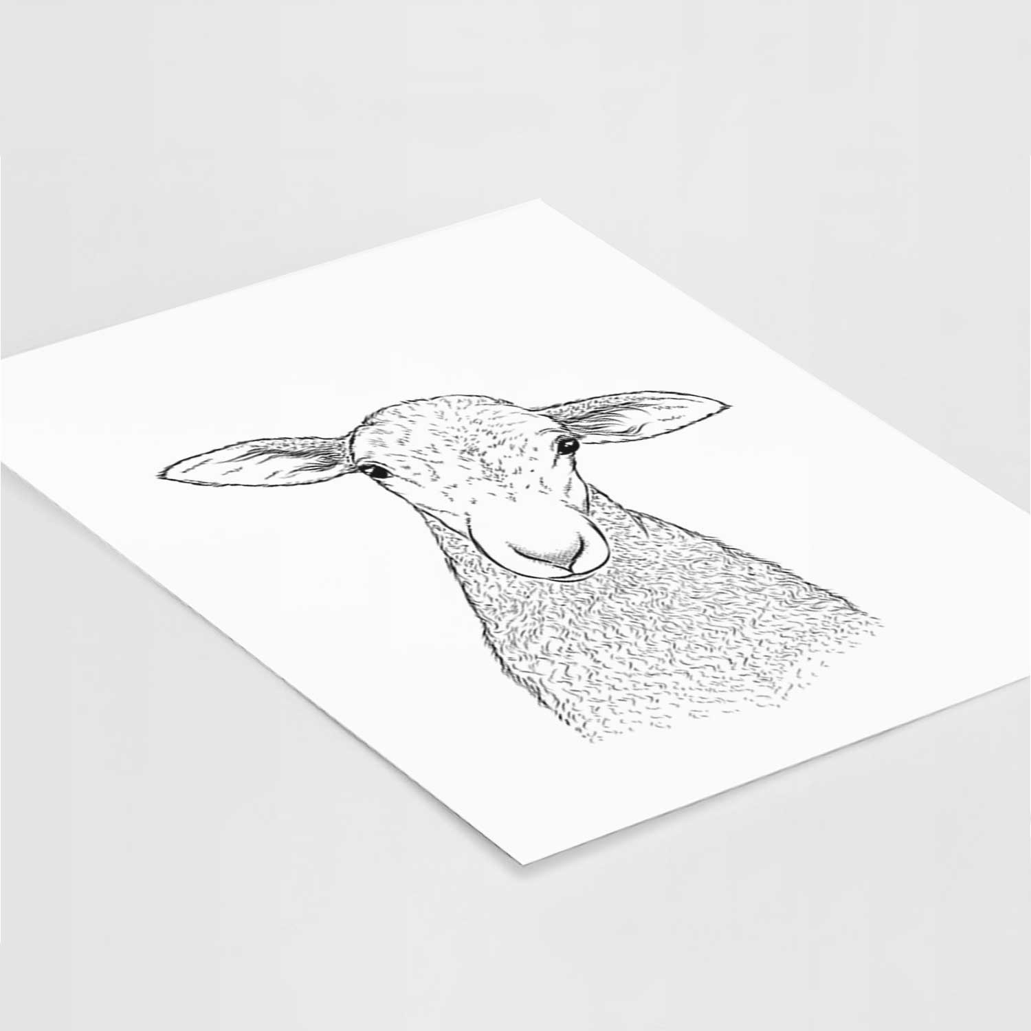 Ivy the Lamb Art Print