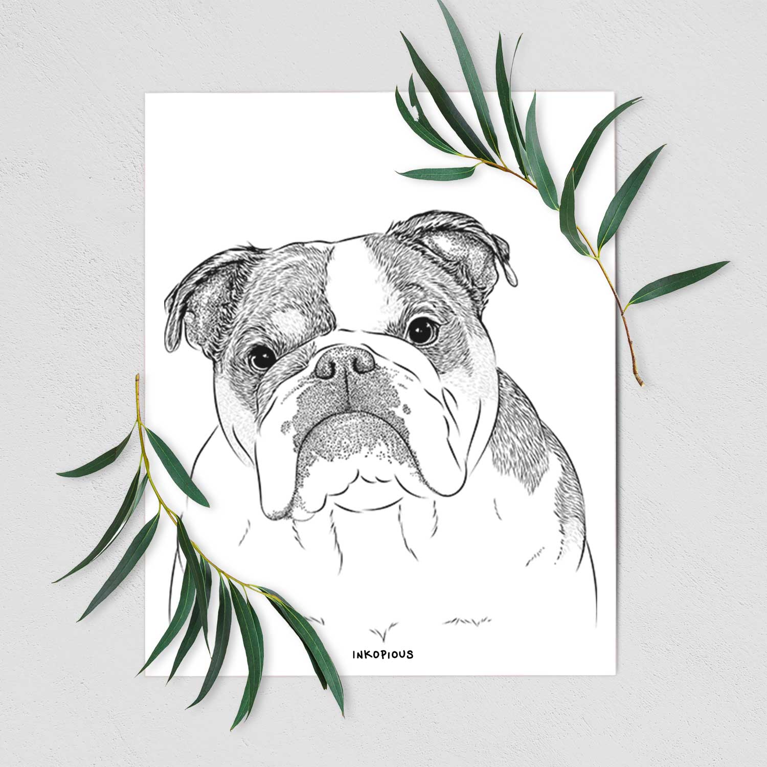 Jack the English Bulldog Art Print