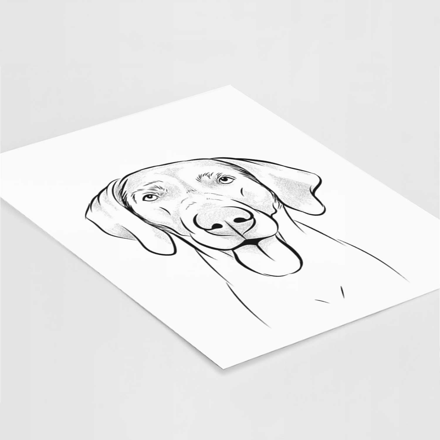 Jackson the Weimaraner Art Print