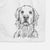 Jake aroni the Golden Retriever Decorative Hand Towel