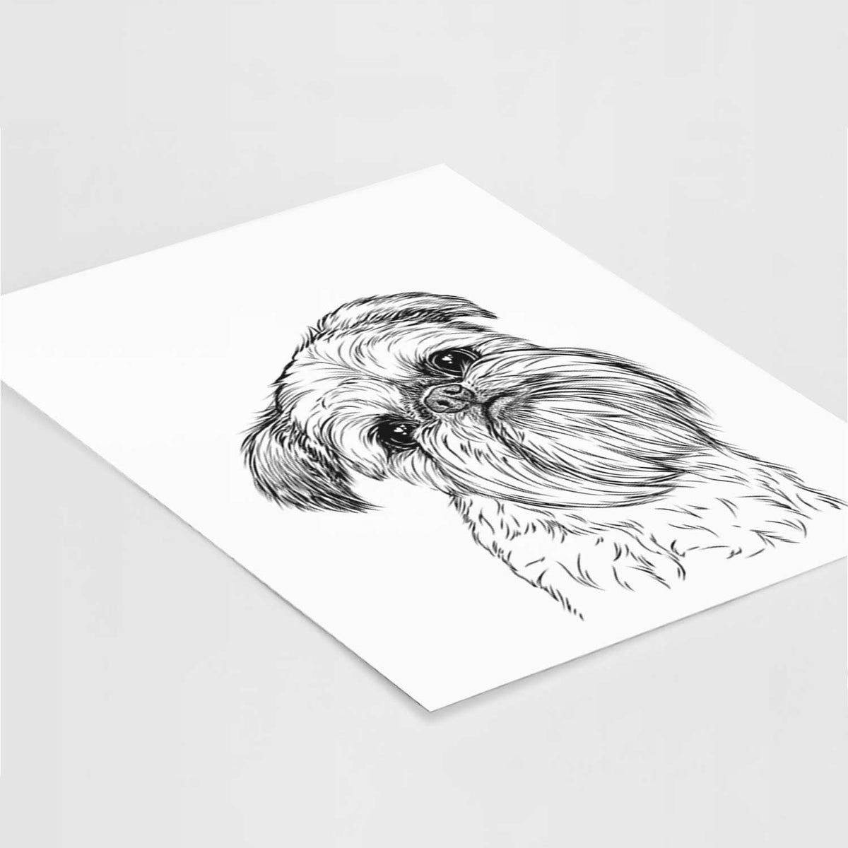 Jasper the Brussels Griffon Art Print