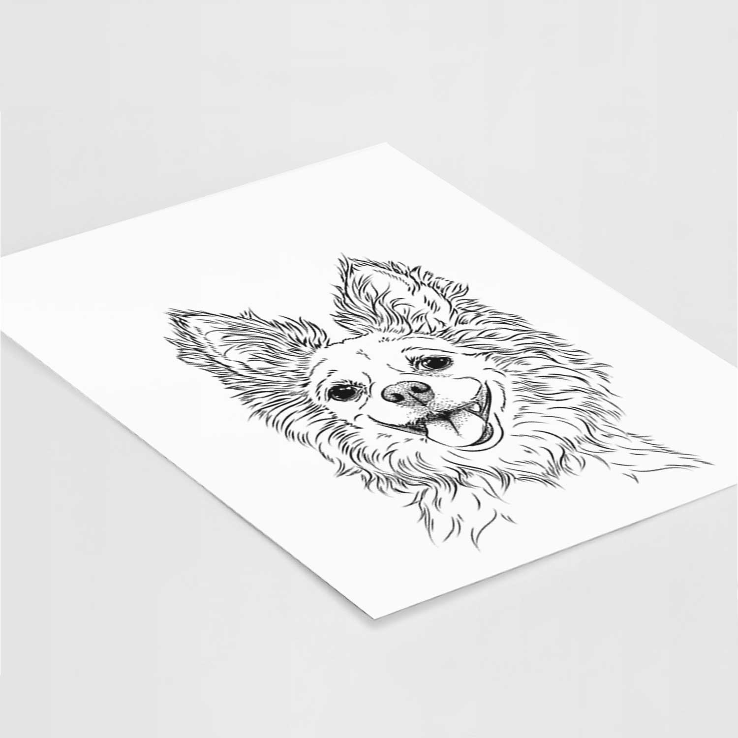 Jasper the Pomchi Art Print