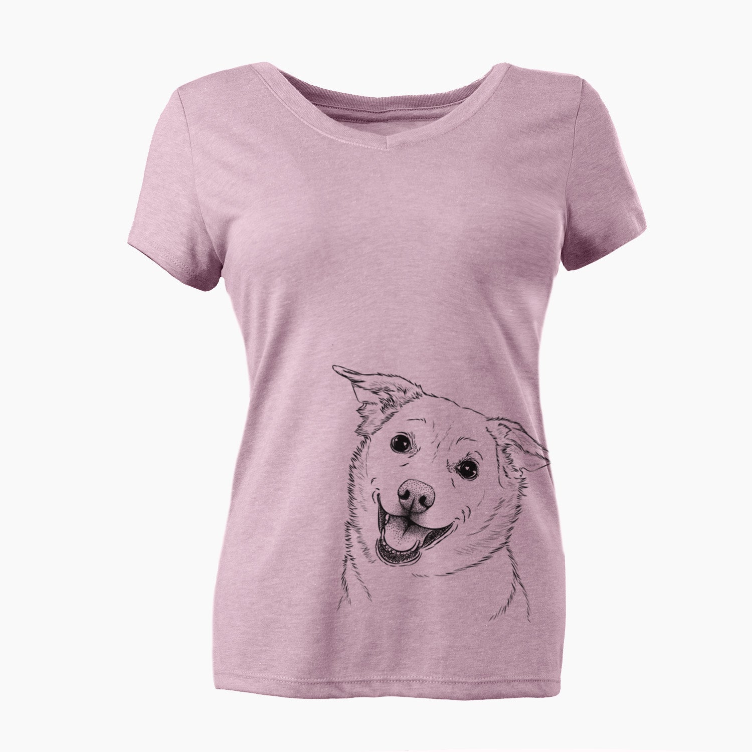 Bare Jazz the Lab Mix - Women's V-neck Shirt