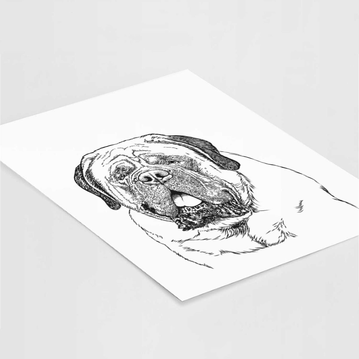 Jed the English Mastiff Art Print