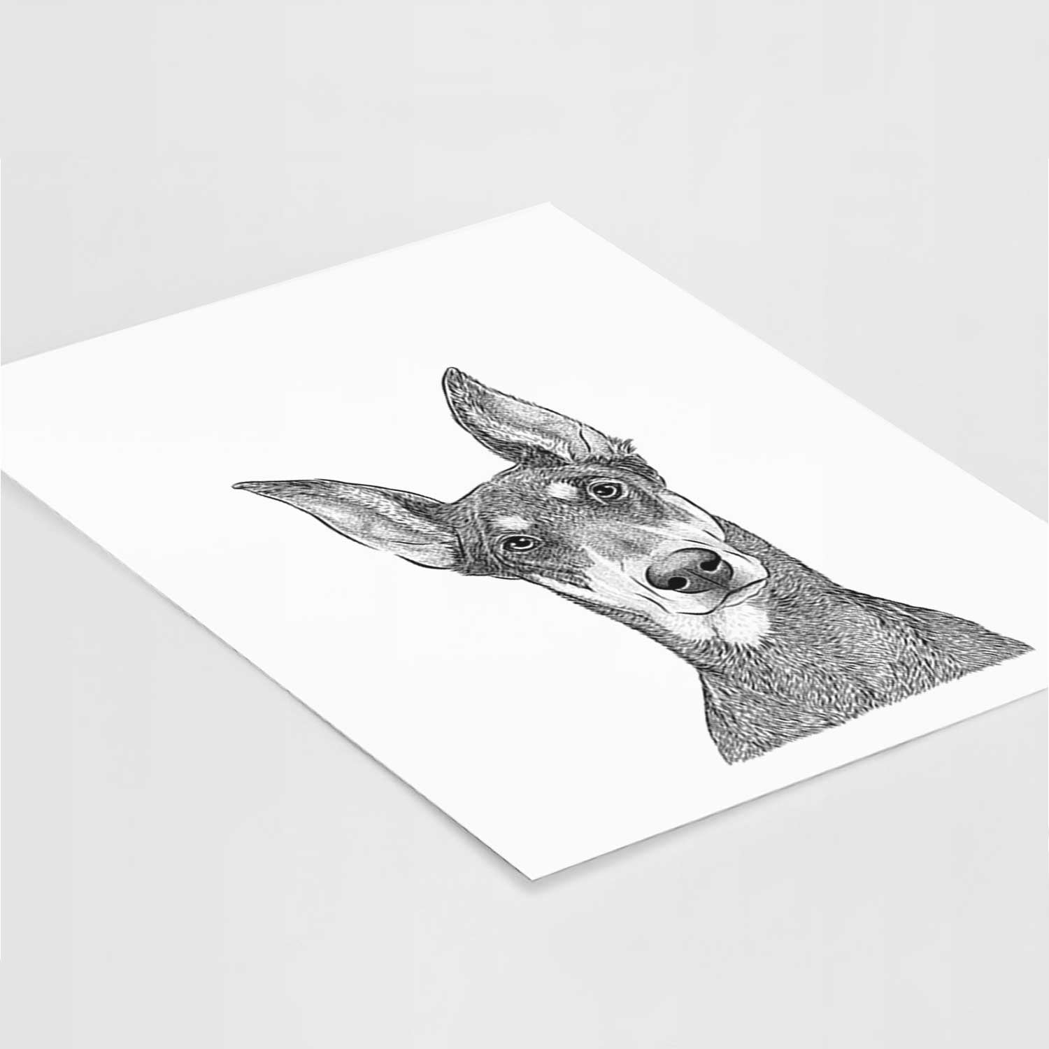 Jenna the Doberman Pinscher Art Print