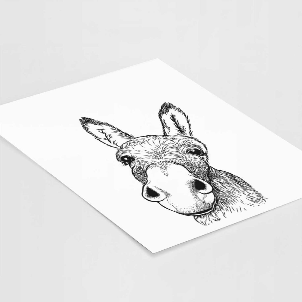 Jenny the Donkey Art Print