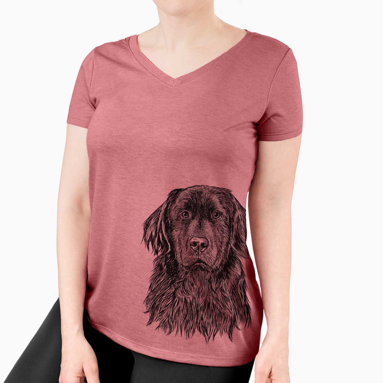 Bare Jinx the Newfoundland - Women's V-neck Shirt