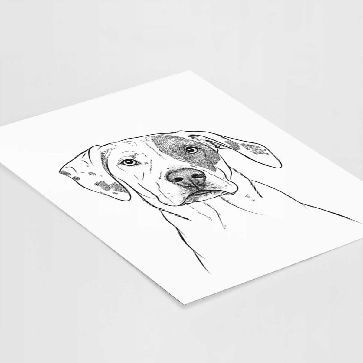 Julio the Dogo Argentino Mix Art Print